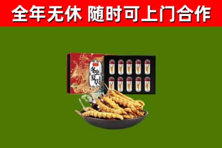 洮南市烟酒回收冬虫夏草礼盒.jpg