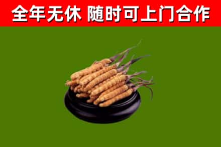 洮南市烟酒回收冬虫夏草.jpg